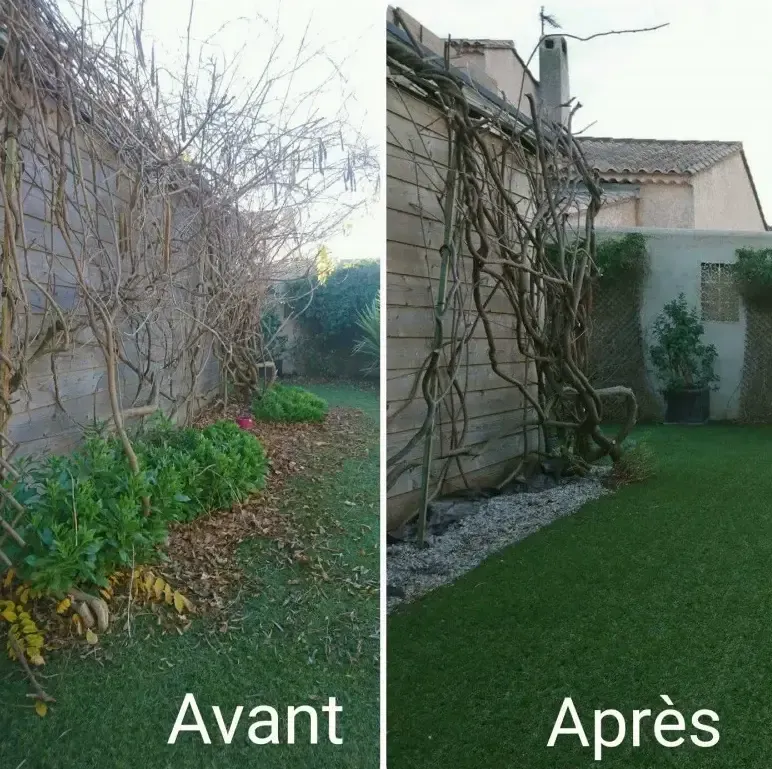 Projet élagage, abattage, taille, entretien n° 3