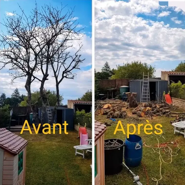 Projet élagage, abattage, taille, entretien n° 5