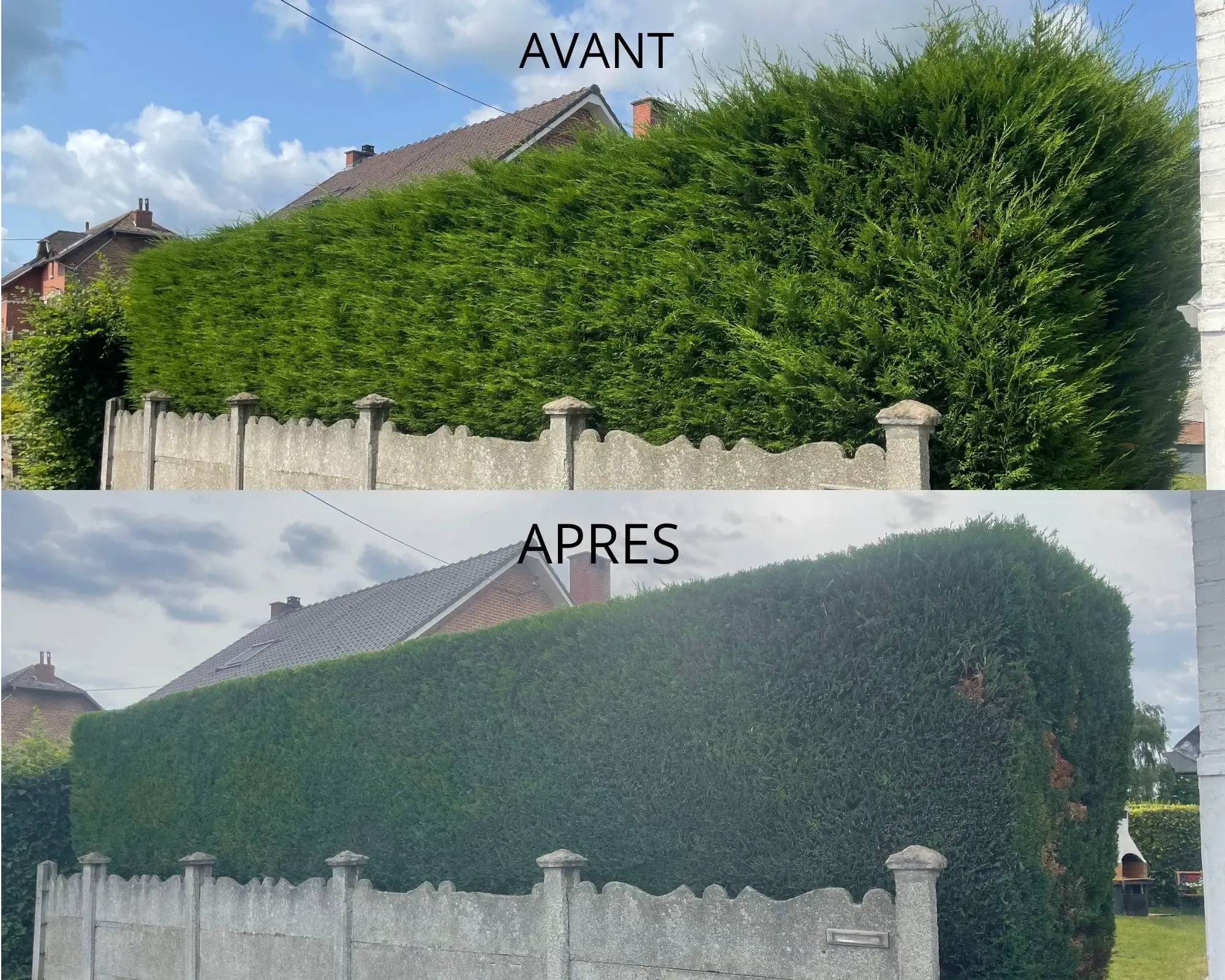 Projet élagage, abattage, taille, entretien n° 9